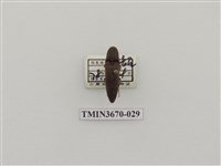 藏品(叩頭蟲(1))的圖片